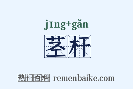 茎杆是什么意思的图片